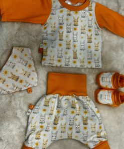Set Hase 56/62